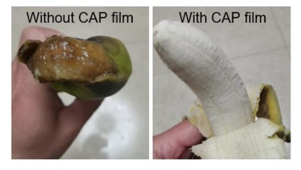 Actual_images_bananas_packed_CAP_film_K_Resin__DK11_days_transportation.jpg 