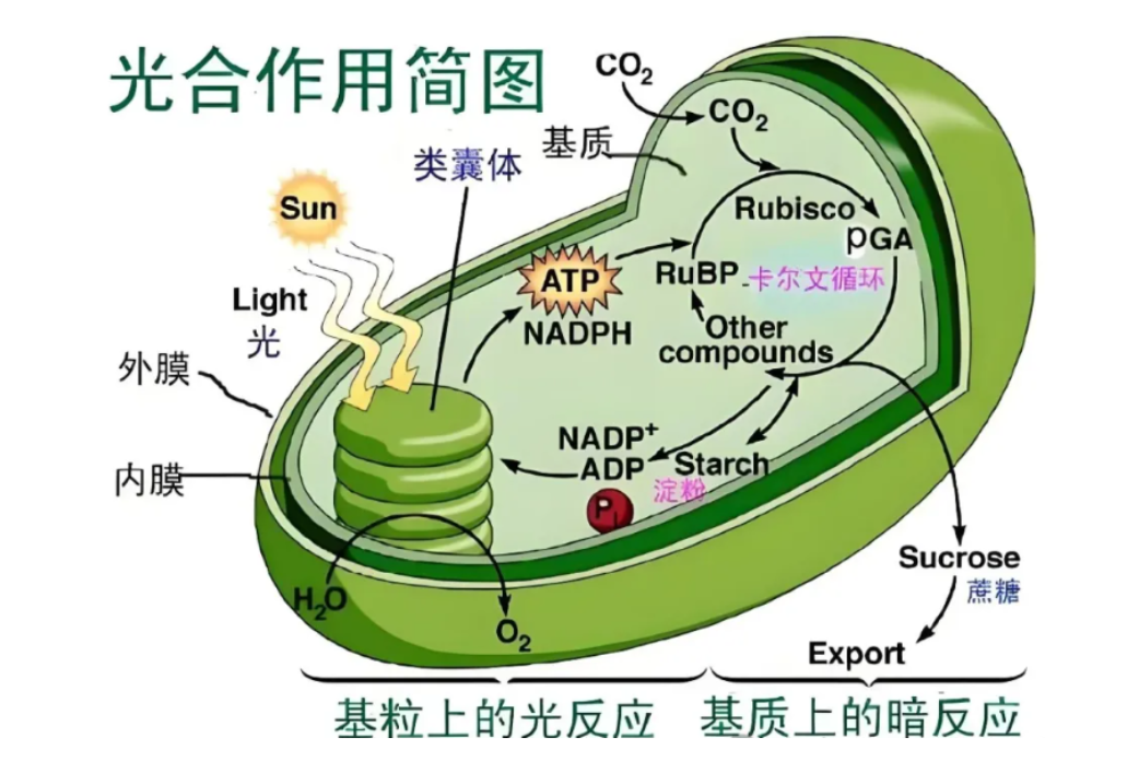 微信图片_20240721215242.png 