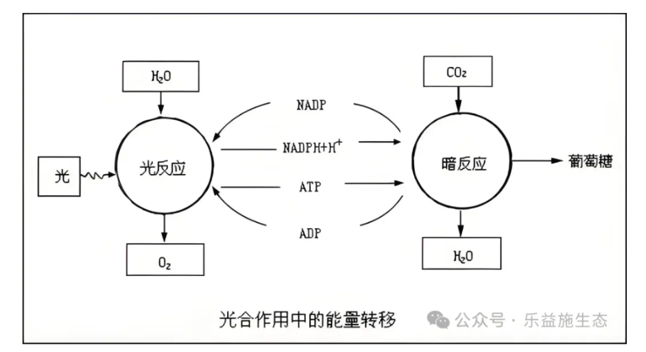 微信图片_20240721215253.png 