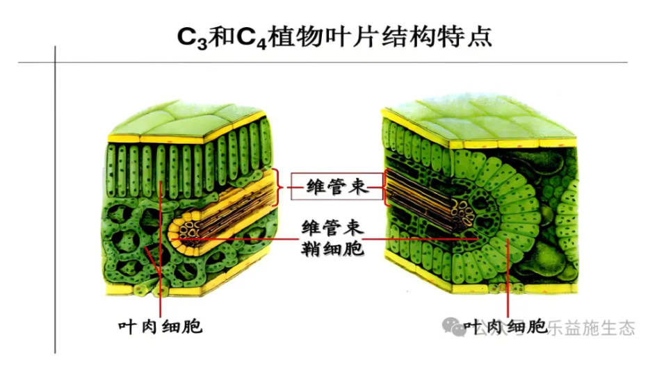 微信图片_20240721215256.png 