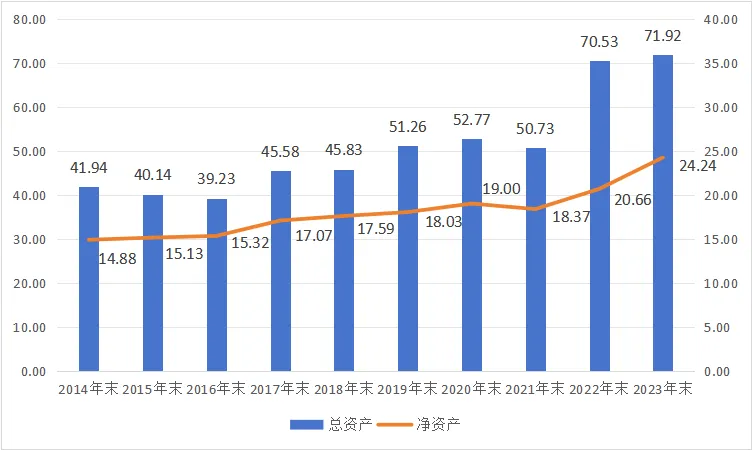 实耐格资产的情况（单位：亿美元）.webp 