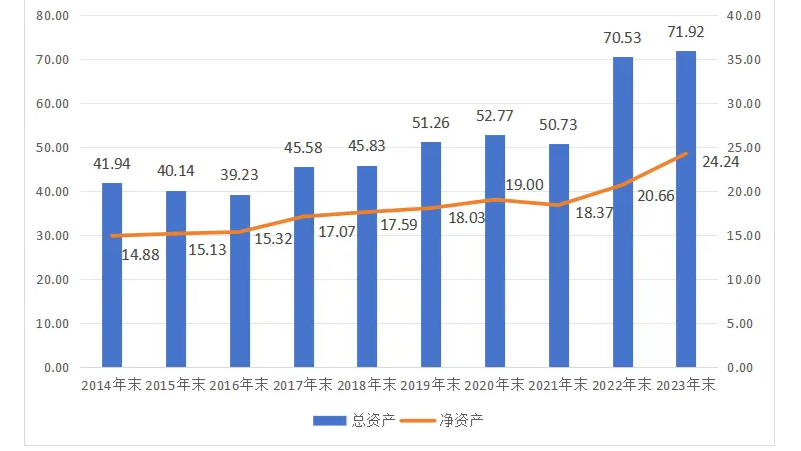 实耐格资产的情况（单位：亿美元）.webp 