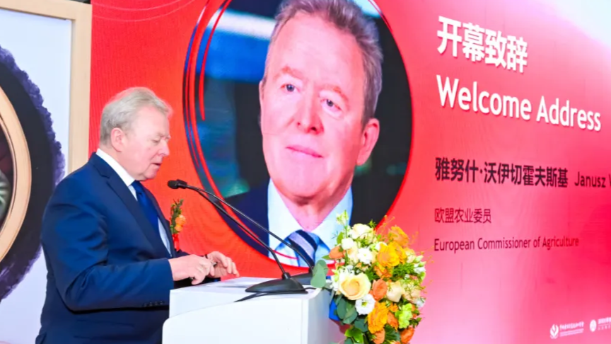 640 - 2026-02-04T115329.886.webp 